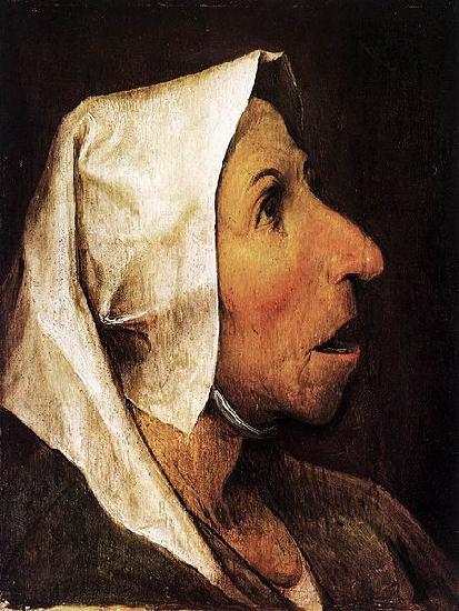 Pieter Bruegel the Elder Portrait of an Old Woman France oil painting art